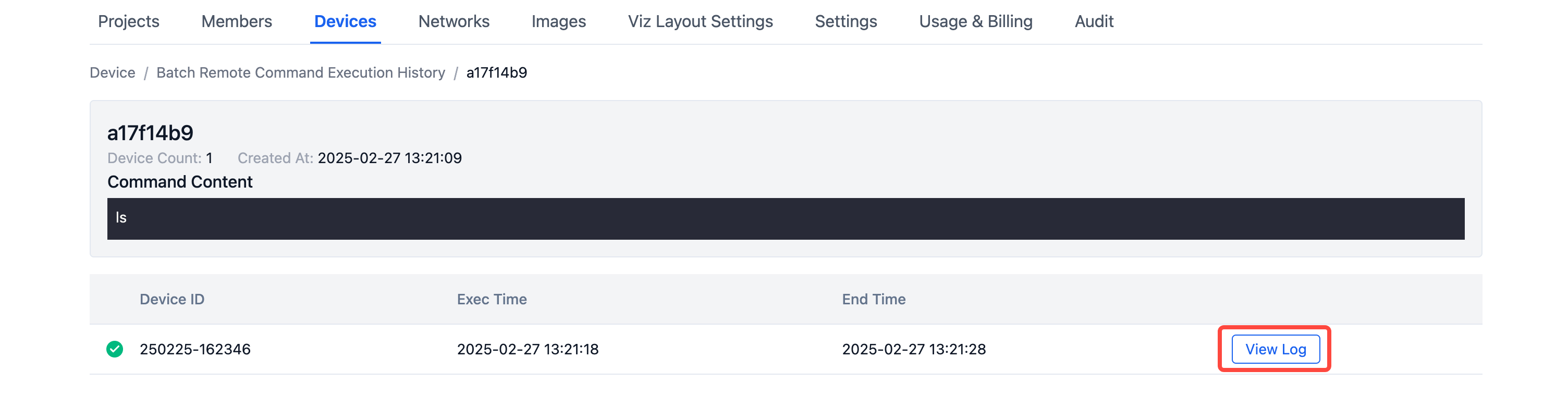 Execute Remote Commands